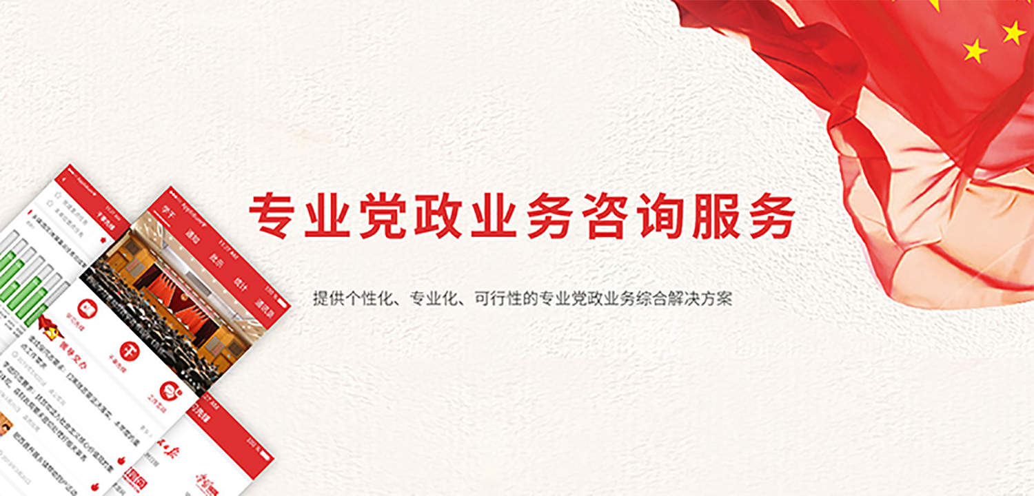 专业党政业务咨询服务